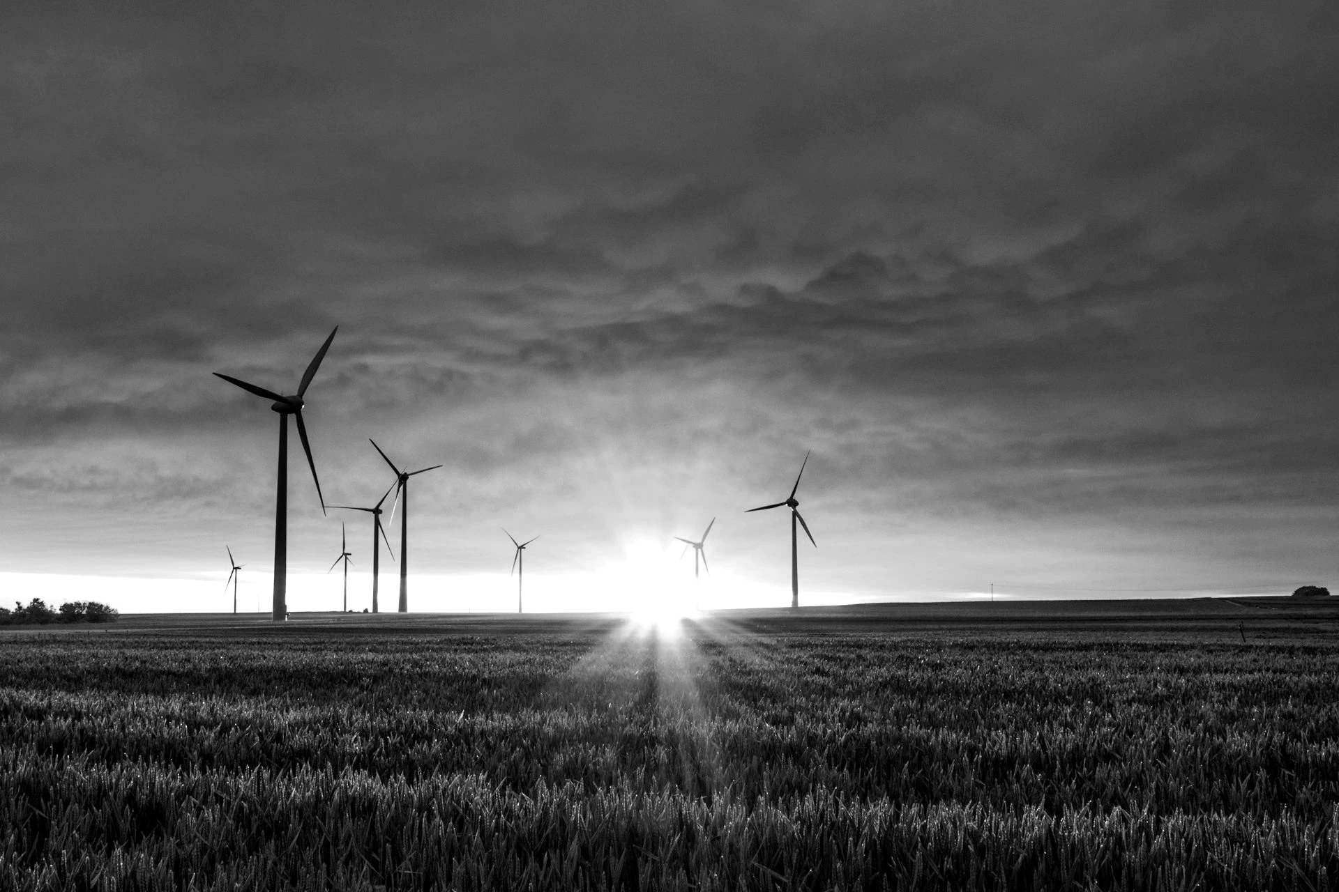windmill on grass field during golden hour